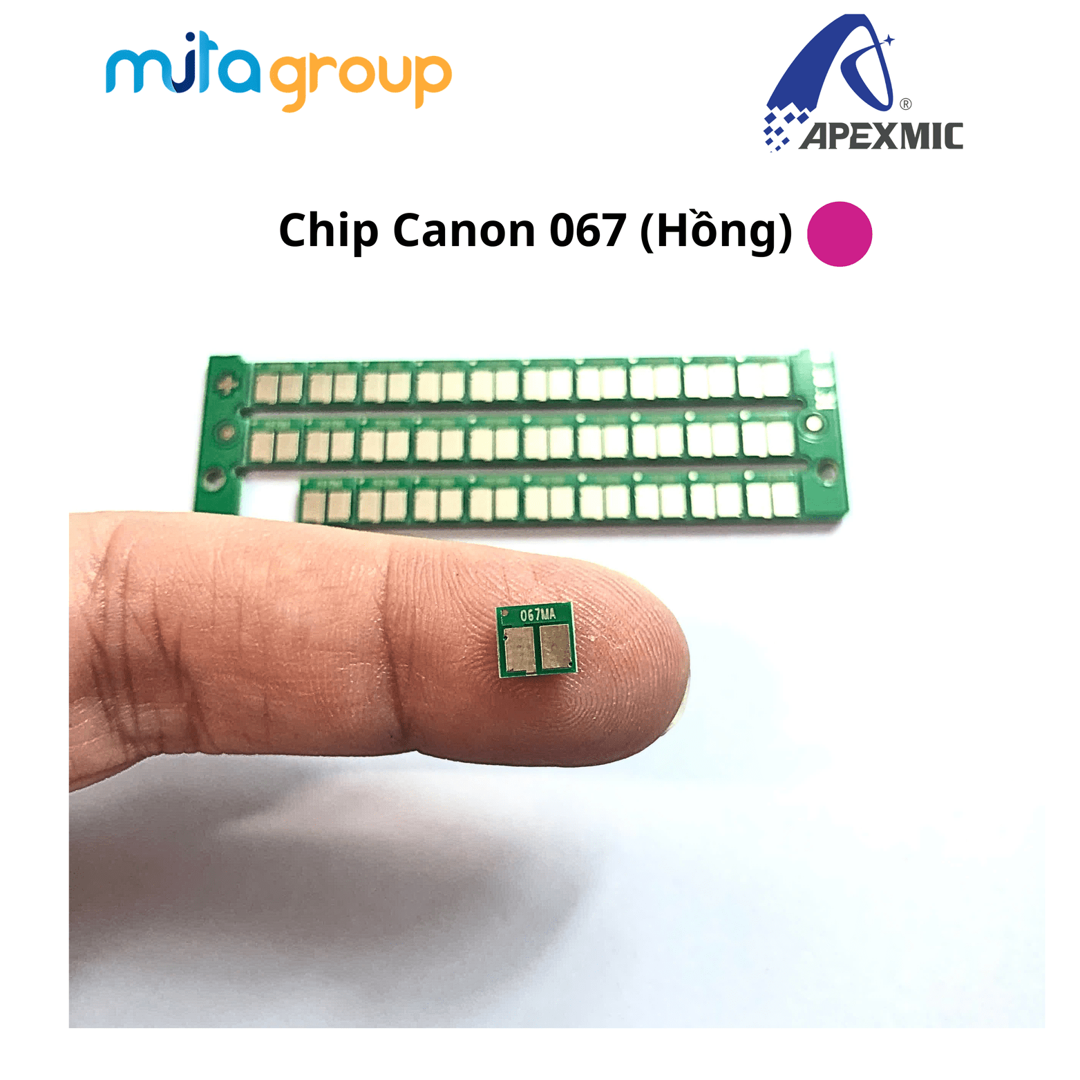 Chip_Canon_067 (1)