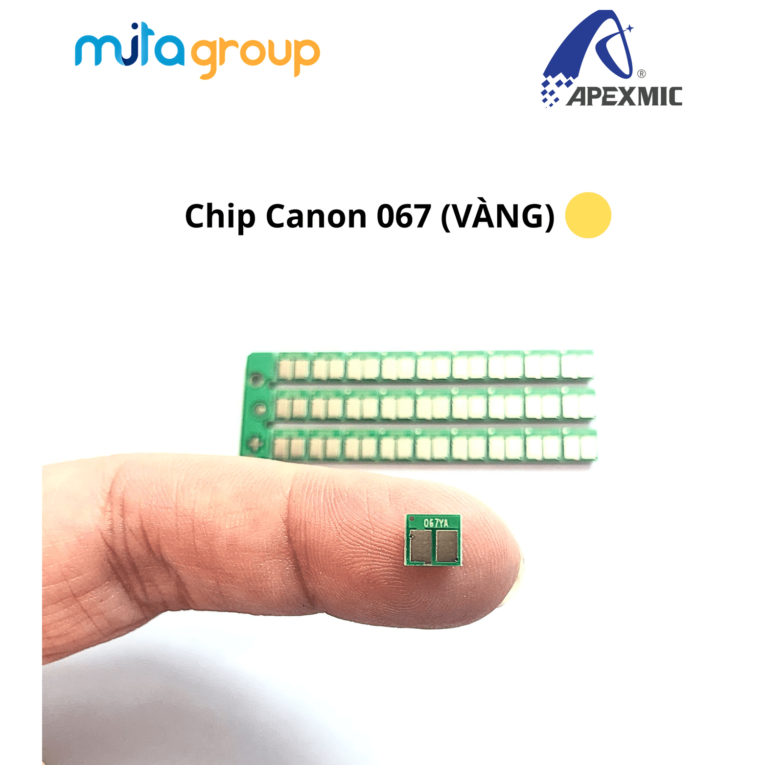Chip_Canon_067 (4)