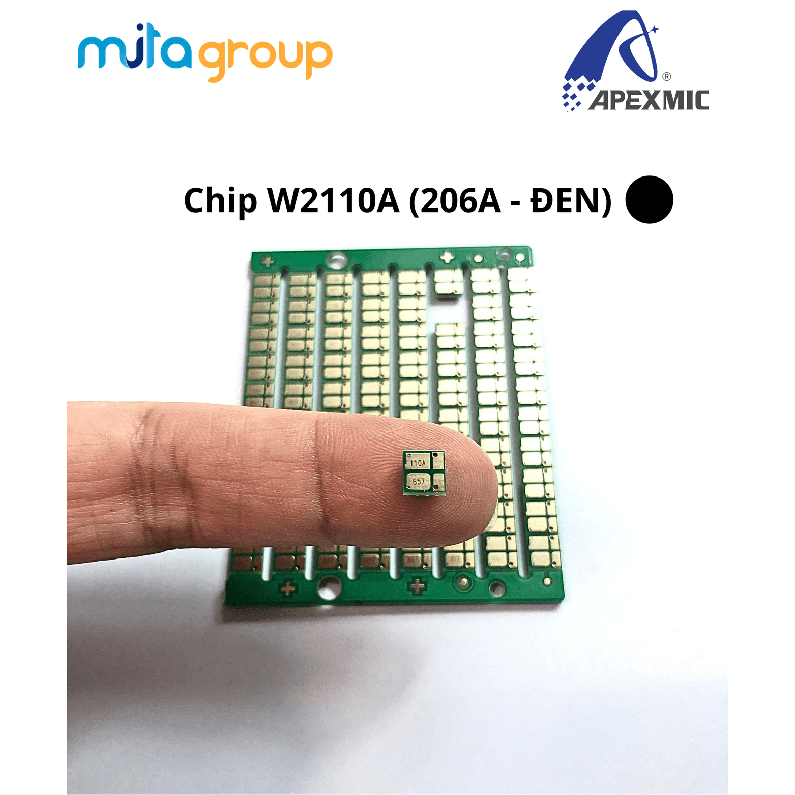 Chip_W2113A_206A (6)