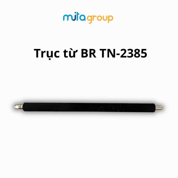 Trục Từ 64A/81A/90A