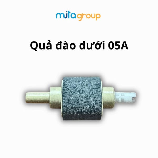 Quả Đào Dưới 05A/80A/319 (Khay Giấy)